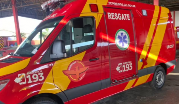 Homem morre após ataque de marimbondos em Aparecida de Goiânia