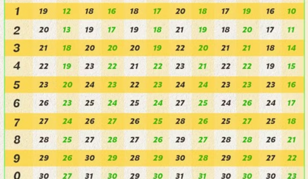 Veja o calendário do Bolsa Família em 2026 e as datas de pagamento