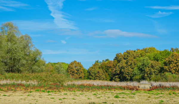 Leilões bancários oferecem imóveis com preços baixos em Goiás neste mês 