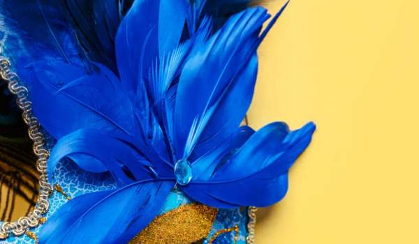 Pré-carnaval de Goiânia reúne blocos, festas e shows em agenda intensa 