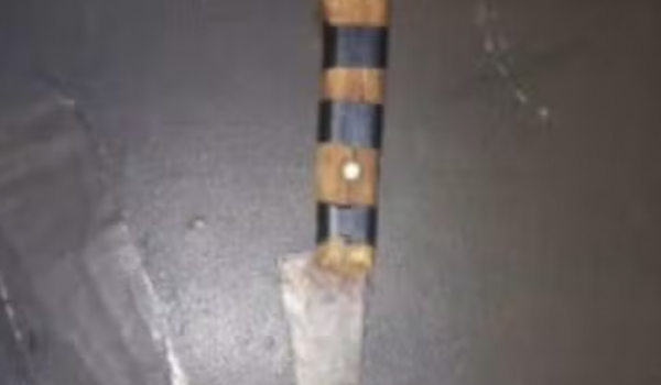 Mulher finge pedir pizza para denunciar ameaça do companheiro em Goiás