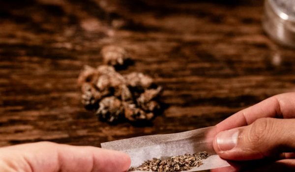 Maconha na adolescência pode dobrar risco de transtornos mentais