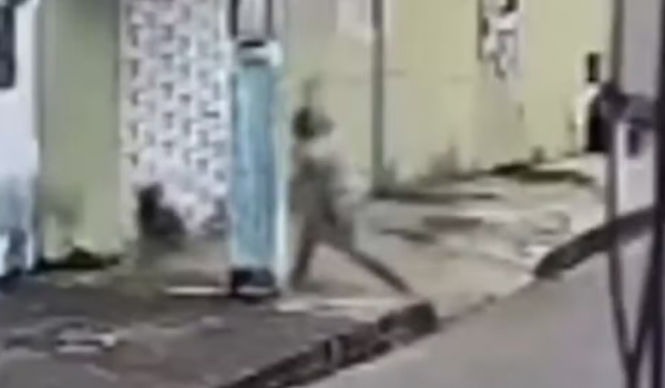 Mulher é presa após agredir cachorro com pauladas em GO