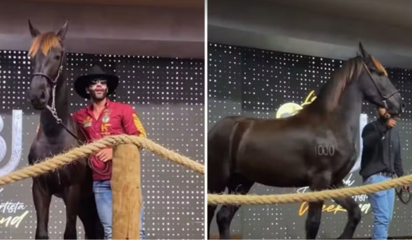 Gusttavo Lima leiloa égua por R$ 1,1 milhão e doa valor a hospital em Goiás