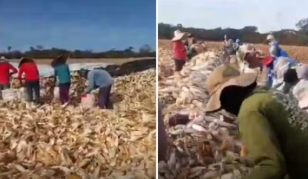 Operação resgata 55 trabalhadores em situação análoga à escravidão em Goiás