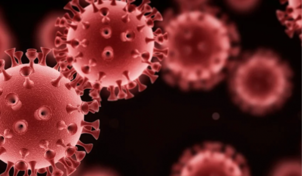 Dois pacientes podem estar curados do HIV após transplante