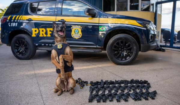 Cão da PRF encontra arsenal com 20 pistolas escondido em ônibus que saiu de Goiânia