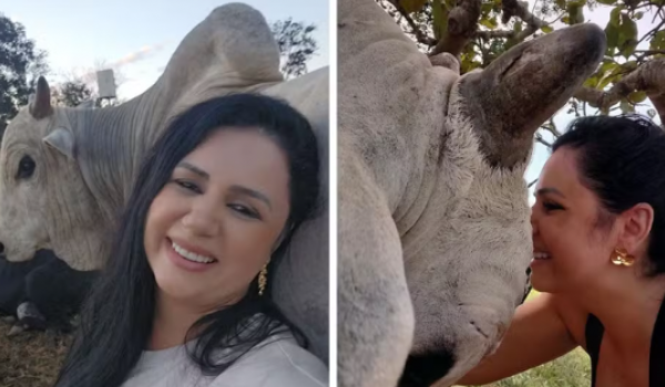 Boi de estimação reconhece dona e reforça decisão de não comer carne