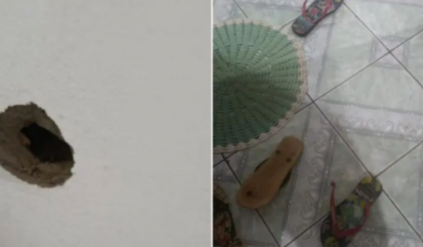 Homem invade casa e mata jovem diante da família em Anápolis