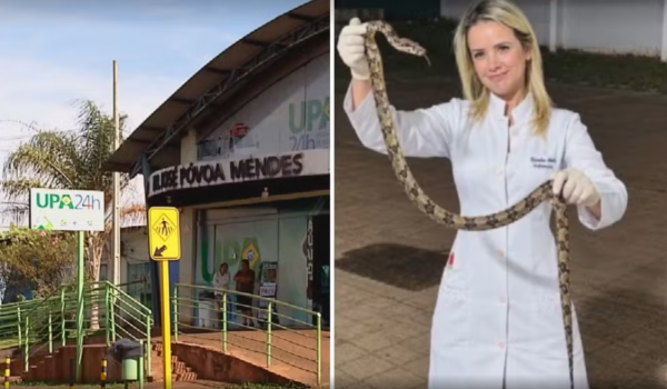 Mulher é picada por cobra em Goiás e leva animal à UPA