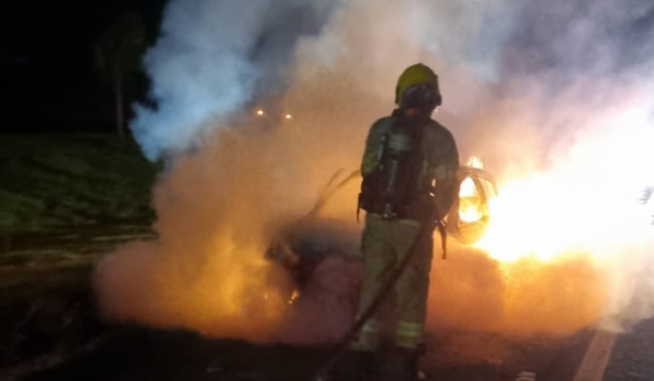 Carro que levava família pega fogo na BR-060, em Rio Verde