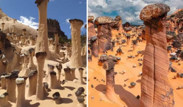 Descoberta geológica inédita: 