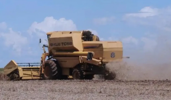 CNJ endurece regras para recuperação judicial no agronegócio e exige mais comprovações de produtores