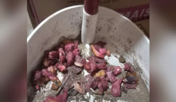 Gerente é preso após contratar empresa para envenenar gatos em supermercado de Mineiros