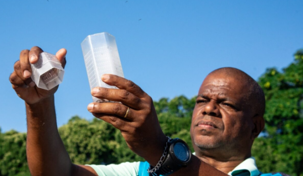 Goiás aposta em soltura de aedes aegypti com bactéria natural para combater a dengue
