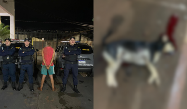 Homem é preso por matar cachorro a facadas na Vila Amália, em Rio Verde
