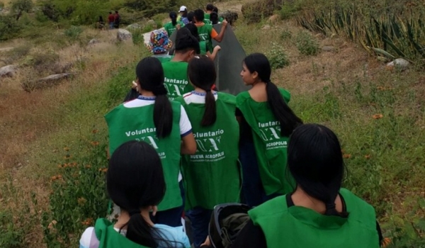 Ações de voluntariado movimentam Goiânia com plantio, bazar beneficente e congresso internacional