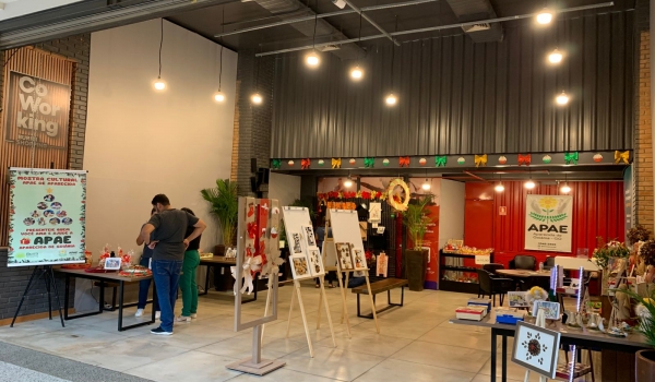 Mostra Cultural da APAE Aparecida celebra inclusão por meio da arte e artesanato