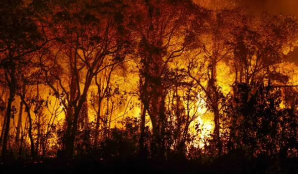 Decreto suspende uso do fogo em vegetação em Goiás