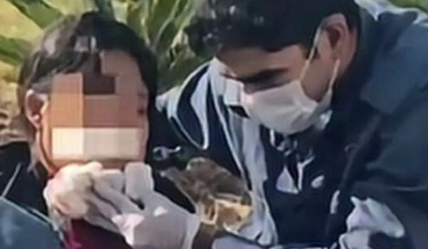 Ambulante autista é baleada no rosto em frente à rodoviária de Goiânia; suspeito morre após confronto com a PM