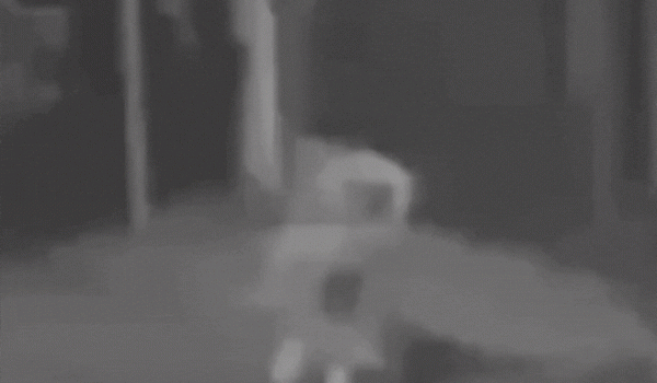 Grávida de gêmeos é atropelada por motorista que fugiu sem prestar socorro em Guarulhos