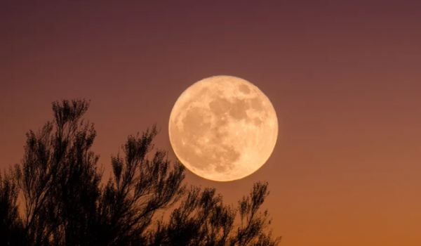 A MAIOR SUPERLUA DE 2024 BRILHARÁ NO CÉU NESTA QUINTA (17)
