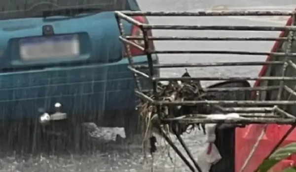 Moradores se mobilizam e salvam adolescente arrastada por enxurrada em Goiânia