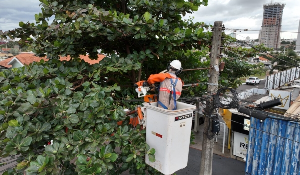 Equatorial Goiás realiza mais de 200 mil podas preventivas em 2025 