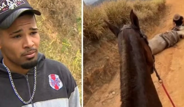Laudo confirma que cavalo mutilado em Bananal estava vivo no momento das agressões