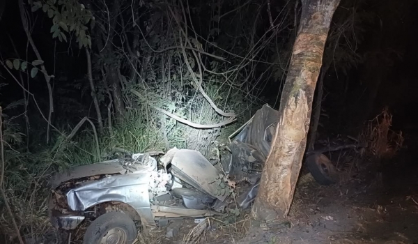 Motorista morre após perder controle de caminhonete e bater em árvore na BR-153
