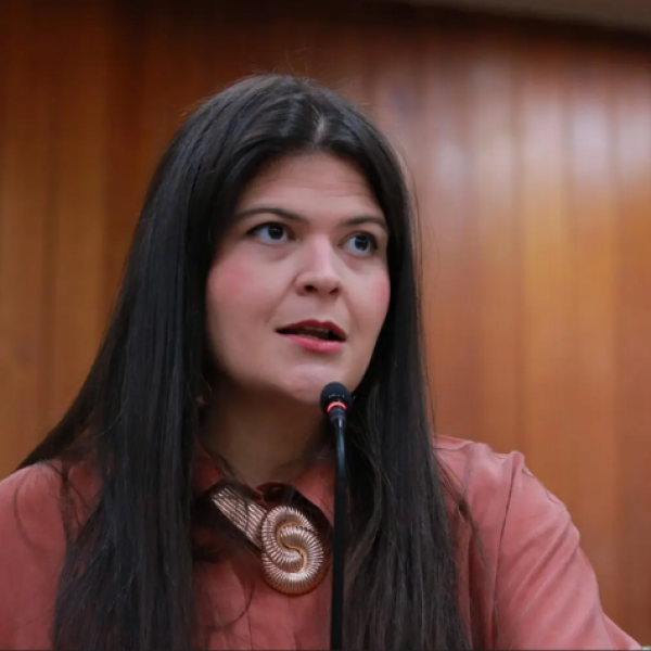 Aava Santiago tem 7ª maior votação de Goiás, mas fica fora da Câmara Federal