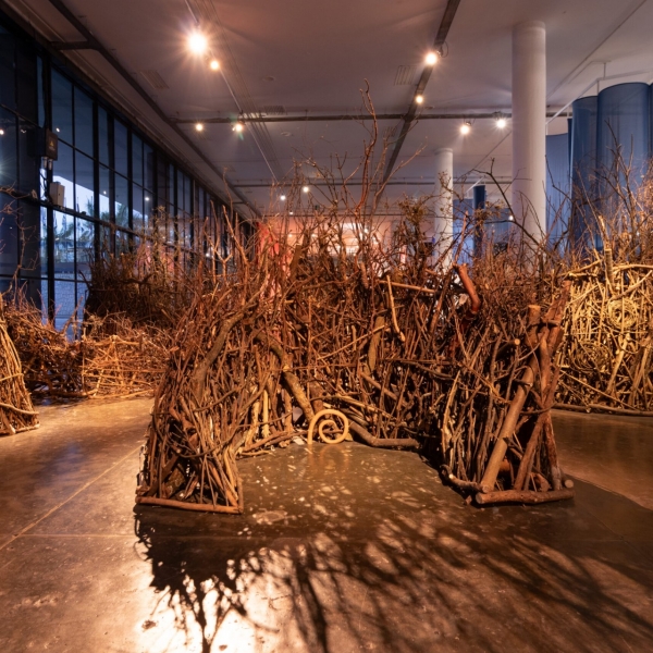 Goiânia recebe exposição da 36ª Bienal de São Paulo no MAC Goiás