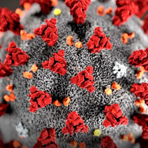 Mais de 40 mil crianças goianas perderam pais ou cuidadores durante a pandemia, aponta estudo