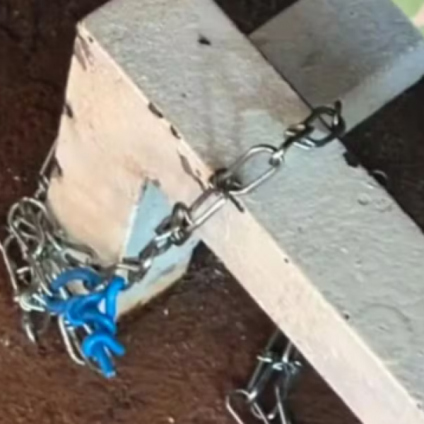 Mãe é presa em Goiás suspeita de manter filho acorrentado