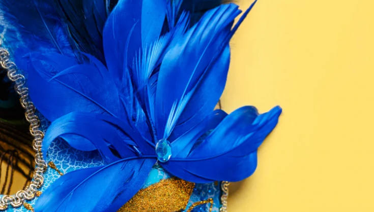 Pré-carnaval de Goiânia reúne blocos, festas e shows em agenda intensa 