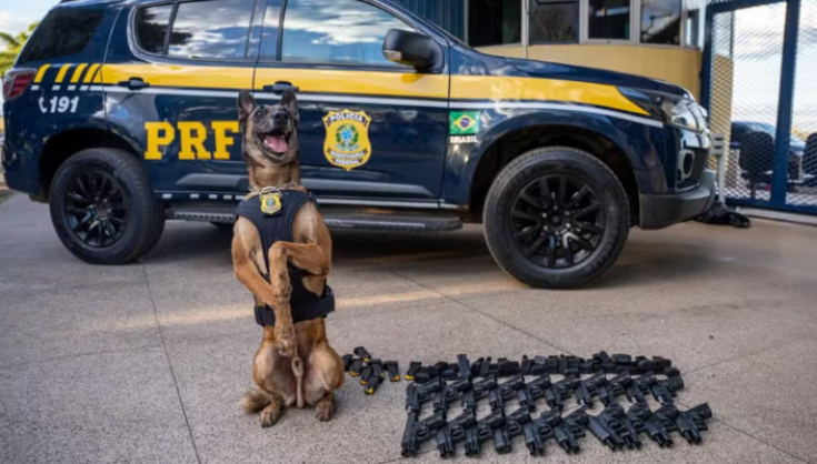 Cão da PRF encontra arsenal com 20 pistolas escondido em ônibus que saiu de Goiânia